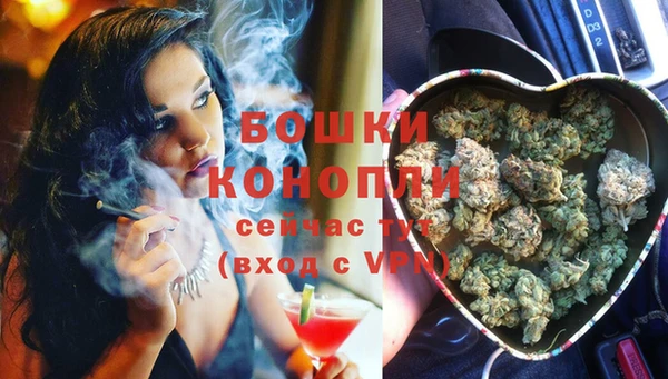 spice Елабуга