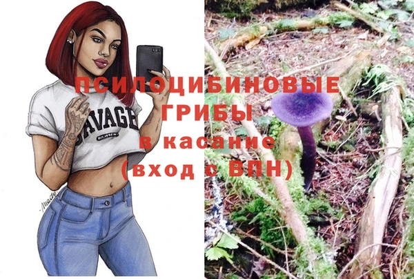 спиды Ельня