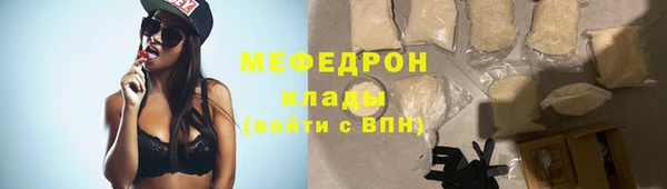 спиды Ельня
