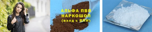 спиды Ельня