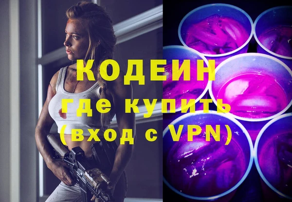 спиды Ельня