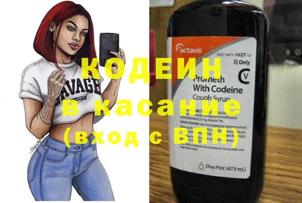 спиды Ельня