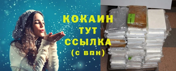 спиды Ельня