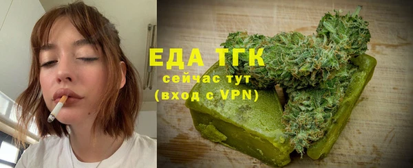 спиды Ельня