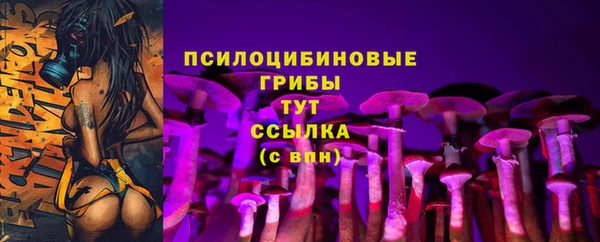 спиды Ельня