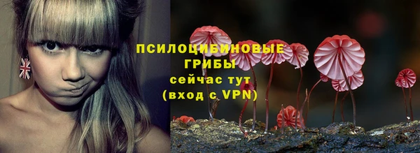 spice Елабуга
